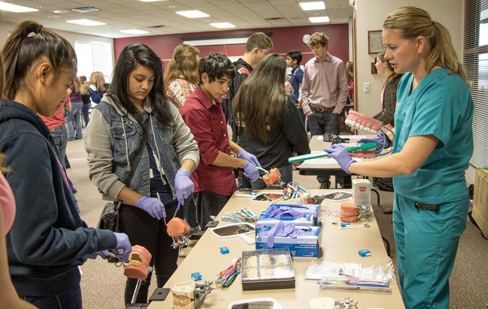 Students looking a medical display